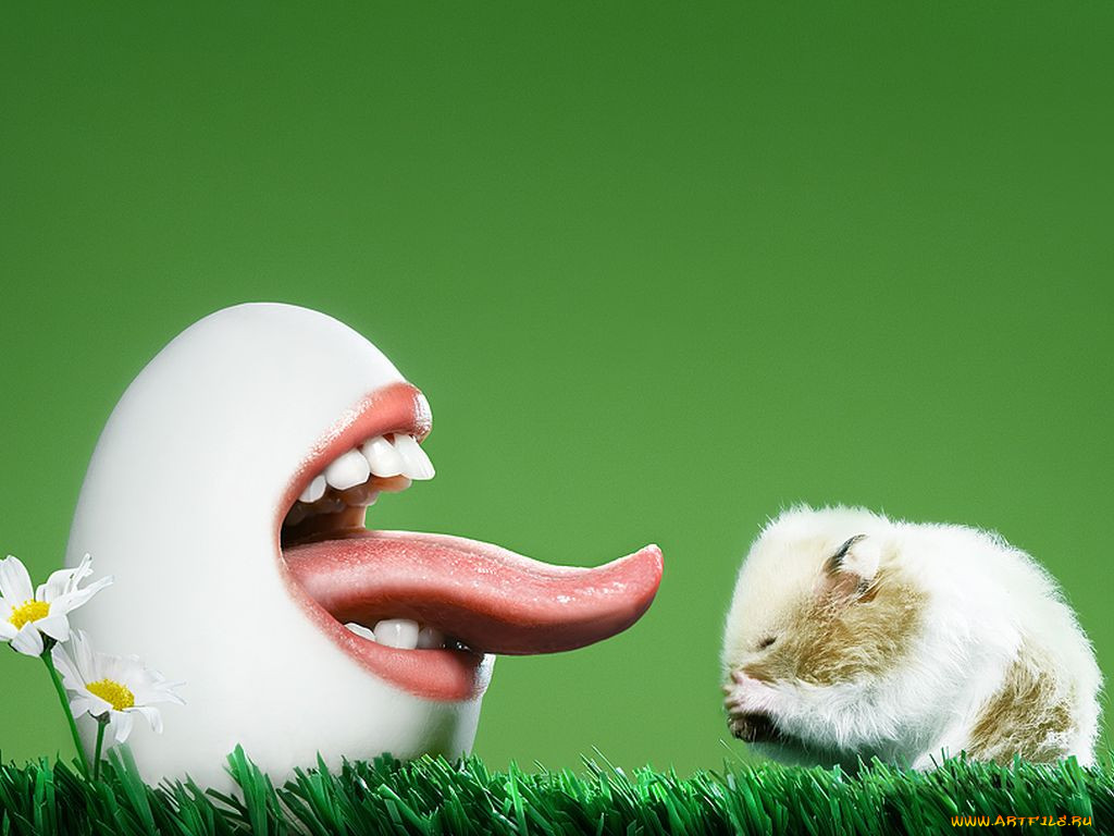 , , , 